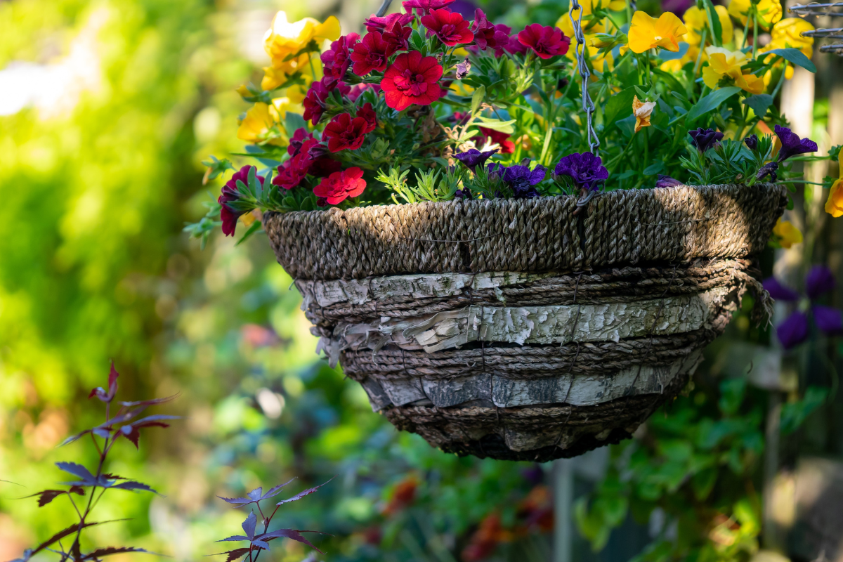 Hanging floral basket.